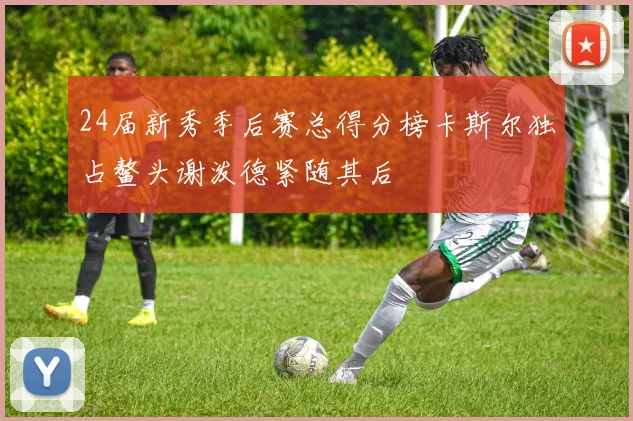 24届新秀季后赛总得分榜卡斯尔独占鳌头谢泼德紧随其后
